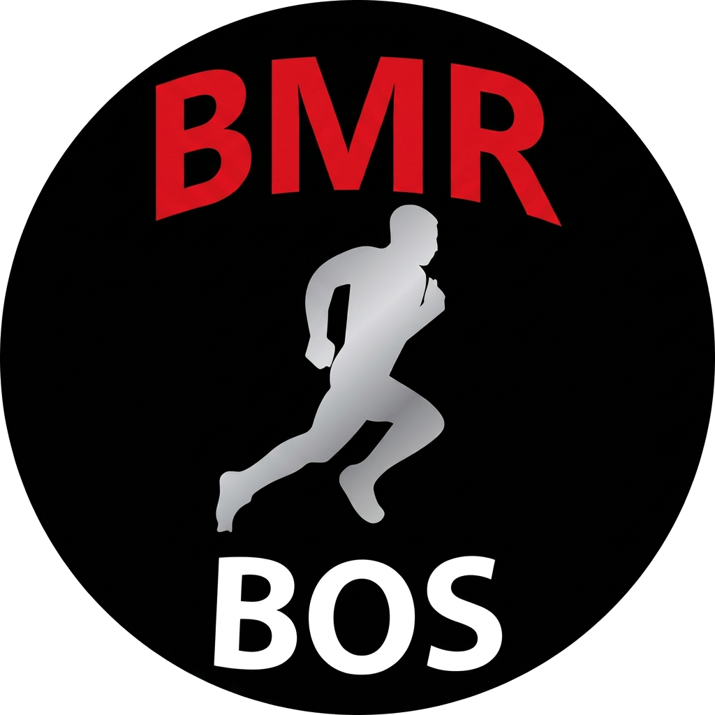 BMR BOS challenge coin, established —
